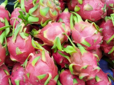 Organic Dragon Fruits