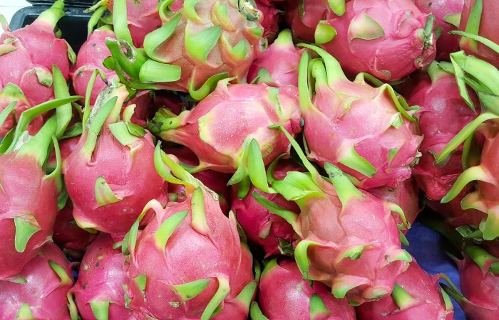 Organic Dragon Fruits